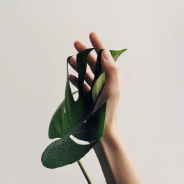 Arztpraxis Dr. Gudrun Simon