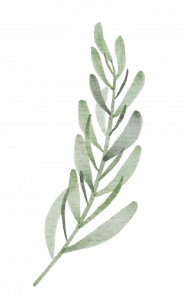 Arztpraxis Dr. Gudrun Simon