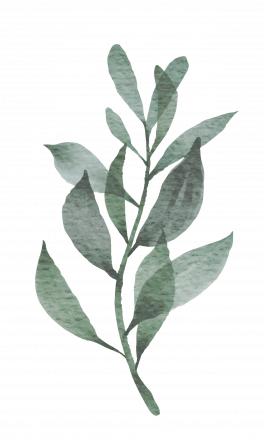 Arztpraxis Dr. Gudrun Simon