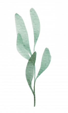 Arztpraxis Dr. Gudrun Simon