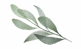 Arztpraxis Dr. Gudrun Simon